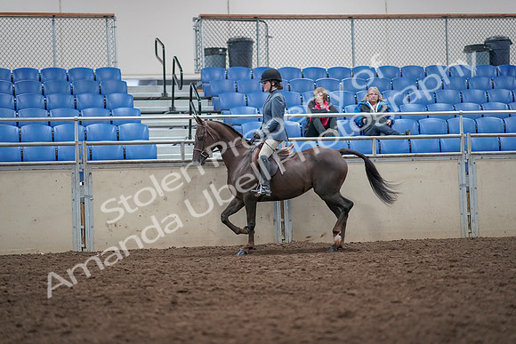 2019 Morgan Horse Show - Aug 31, 2019 - 16506