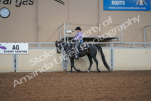 2019 Morgan Horse Show - Aug 30, 2019 - 16821