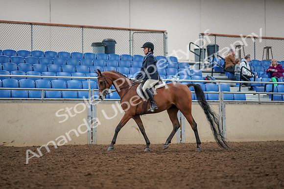 2019 Morgan Horse Show - Aug 30, 2019 - 22245