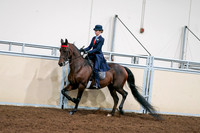 2020 - AB Morgan Horse - Sat, Sept 05 - 08539