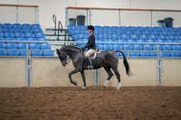 2019 Morgan Horse Show - Aug 30, 2019 - 23103