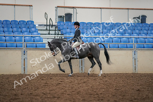 2019 Morgan Horse Show - Aug 30, 2019 - 23103