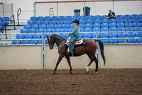 2019 Morgan Horse Show - Aug 30, 2019 - 16716