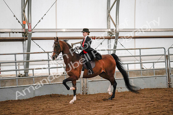 July 19, 2019 - 9047
