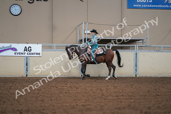 2019 Morgan Horse Show - Aug 30, 2019 - 16815