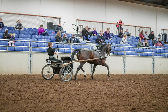 Spring Fling - Saturday - April 20, 2019  -  00278