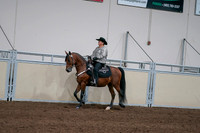 2020 - AB Morgan Horse - Fri, Sept 04 - 05710