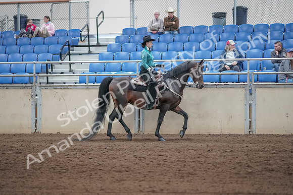 2019 Morgan Horse Show - Sept 01, 2019 - 07110