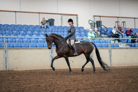 2019 Morgan Horse Show - Aug 30, 2019 - 13876