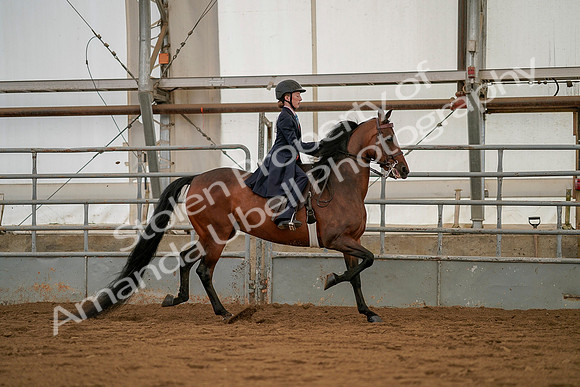 July 19, 2019 - 4039