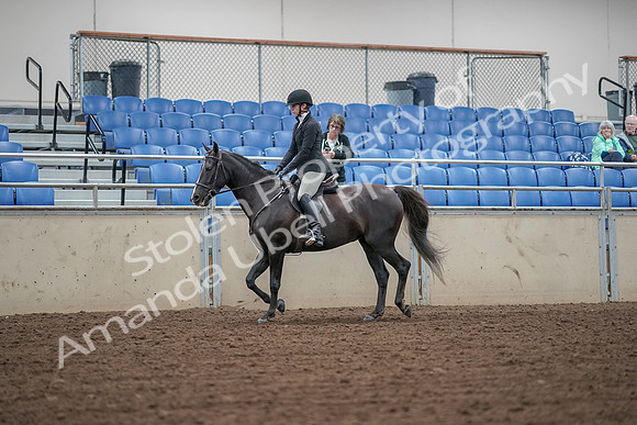 2019 Morgan Horse Show - Aug 30, 2019 - 14887