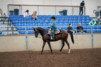2019 Morgan Horse Show - Aug 30, 2019 - 16700