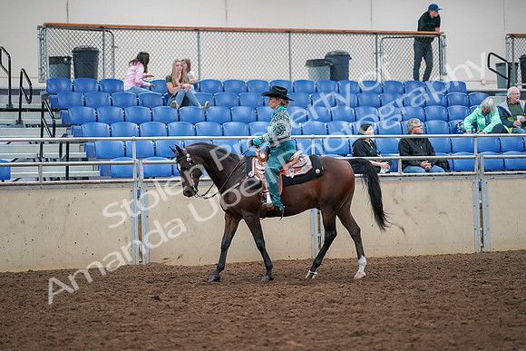 2019 Morgan Horse Show - Aug 30, 2019 - 16700