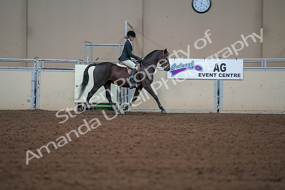 2019 Morgan Horse Show - Aug 30, 2019 - 20810