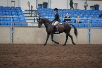2019 Morgan Horse Show - Sept 01, 2019 - 09019