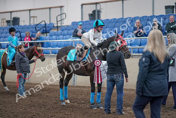 2019 Morgan Horse Show - Aug 31, 2019 - 10155