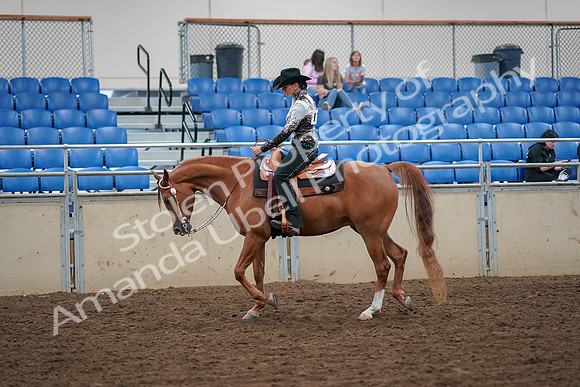 2019 Morgan Horse Show - Aug 30, 2019 - 16726