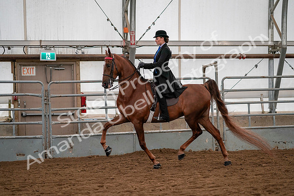July 19, 2019 - 10309