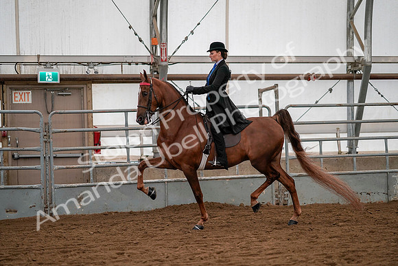 July 19, 2019 - 10308