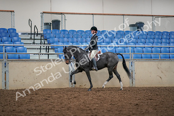 2019 Morgan Horse Show - Aug 30, 2019 - 23281