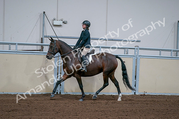 2020 - AB Morgan Horse - Fri, Sept 04 - 01663