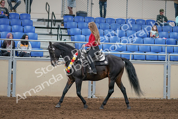 2020 - AB Morgan Horse - Sat, Sept 05 - 10427