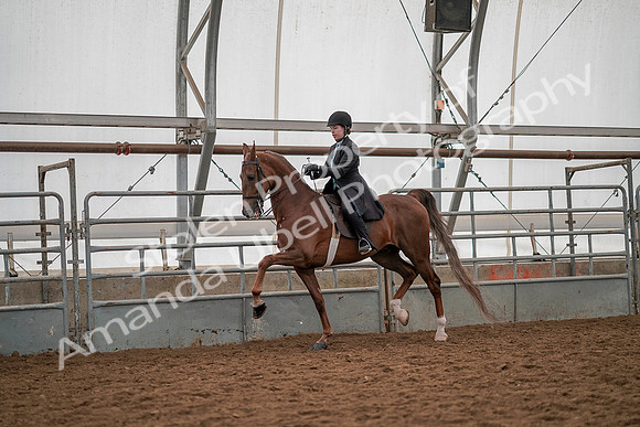 July 19, 2019 - 13152