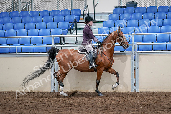 2020 - AB Morgan Horse - Sat, Sept 05 - 03223