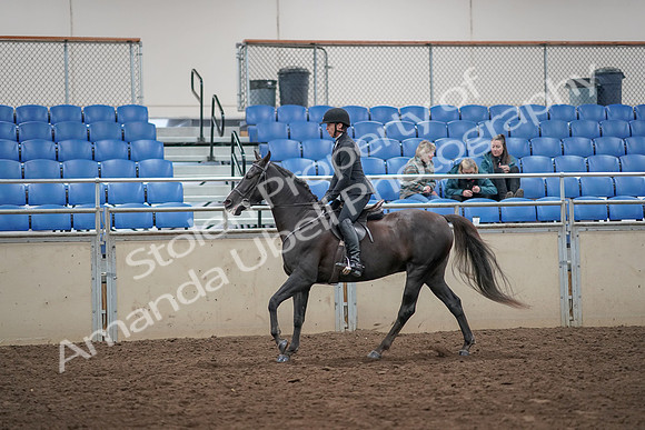 2019 Morgan Horse Show - Aug 31, 2019 - 07367