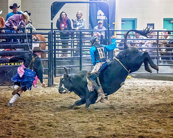 rodeo - 025