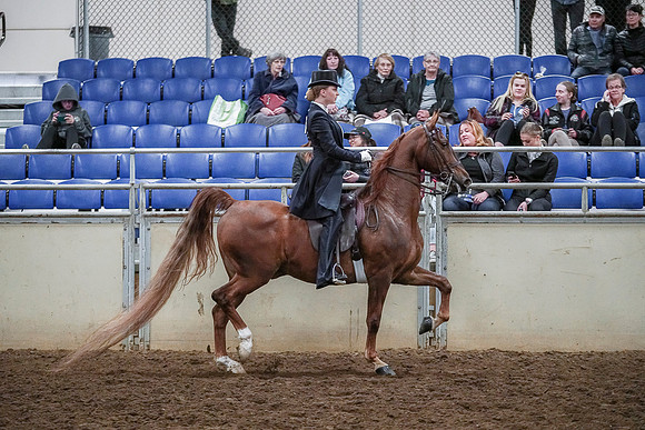 Spring Fling - Saturday - April 20, 2019  -  04427
