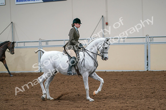 2020 - AB Morgan Horse - Sat, Sept 05 - 14532