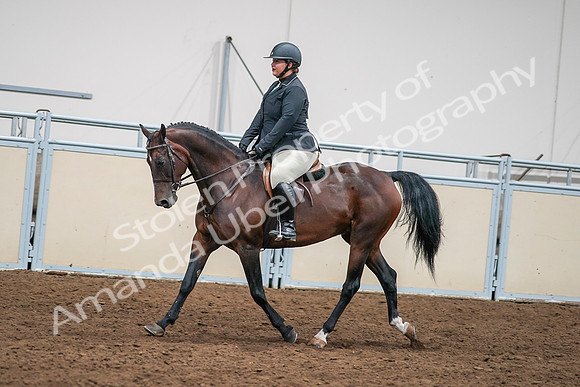 2020 - AB Morgan Horse - Sat, Sept 05 - 09334
