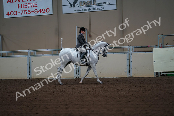 2019 Morgan Horse Show - Aug 30, 2019 - 17553