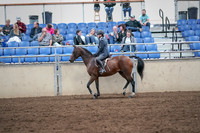 2019 Morgan Horse Show - Aug 31, 2019 - 21376