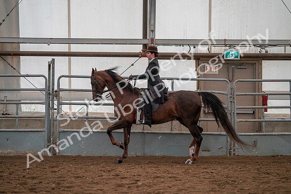 July 19, 2019 - 13032