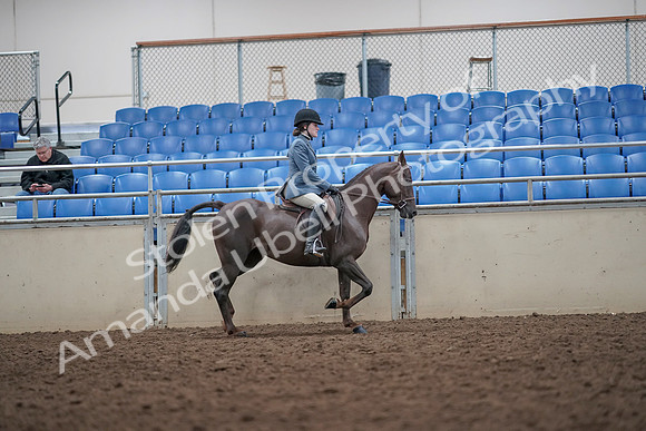 2019 Morgan Horse Show - Aug 31, 2019 - 16741