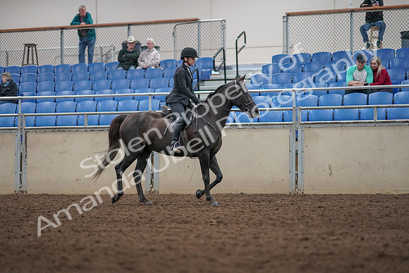 2019 Morgan Horse Show - Aug 31, 2019 - 07382
