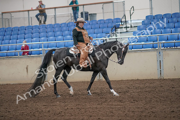 2019 Morgan Horse Show - Aug 31, 2019 - 06205