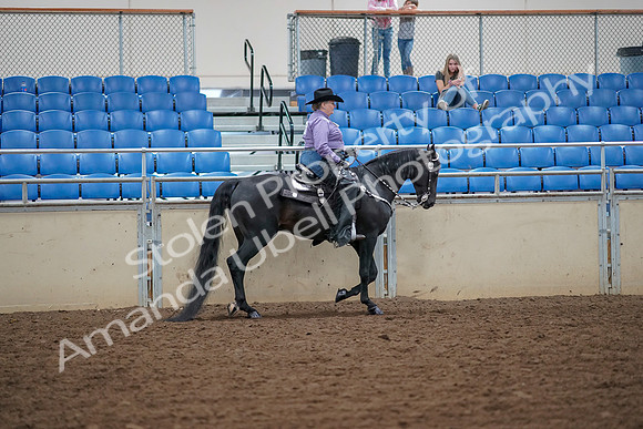 2019 Morgan Horse Show - Aug 30, 2019 - 17054