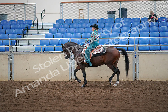 2019 Morgan Horse Show - Aug 30, 2019 - 16722