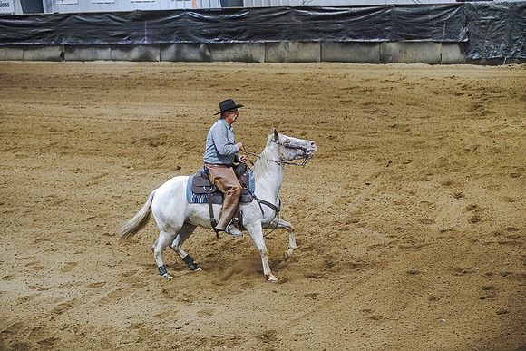 DSC00951