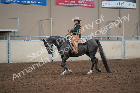 2019 Morgan Horse Show - Aug 31, 2019 - 06052