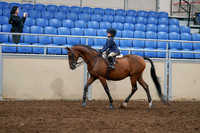 2020 - AB Morgan Horse - Sun, Sept 06 - 07683