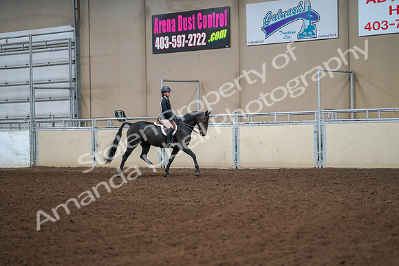2019 Morgan Horse Show - Aug 30, 2019 - 12338