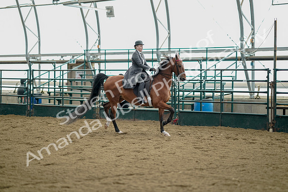 July 21, 2019 - 01705