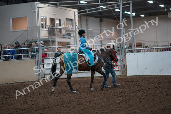 2019 Morgan Horse Show - Aug 31, 2019 - 10038