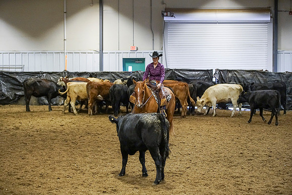 DSC08424