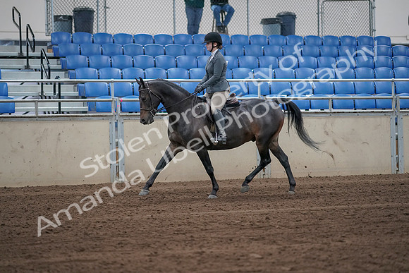 2019 Morgan Horse Show - Sept 01, 2019 - 10893