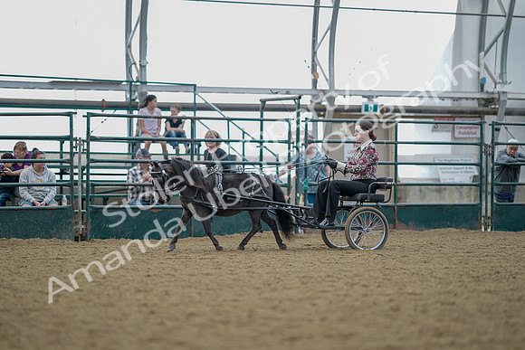 July 21, 2019 - 06857